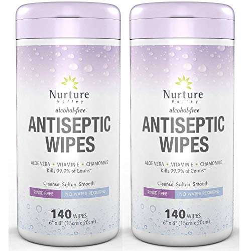 Antiseptic Hand Sanitizing Wipes (2 Canisters) | 280 Alcohol Free Antibacterial Disposable Hand and Body Sanitizer Wipes with Aloe Vera, Chamomile and Vitamin E – 2 Tubs of 140 Wipes