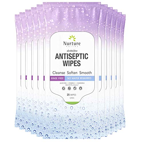 Antiseptic Sanitizing Wipes (10 Packs of 25 Wipes) | 250 Alcohol Free Antibacterial Disposable Hand and Body Sanitizer Wipes with Aloe Vera, Chamomile and Vitamin E – 10 Packs of 25 Wipes
